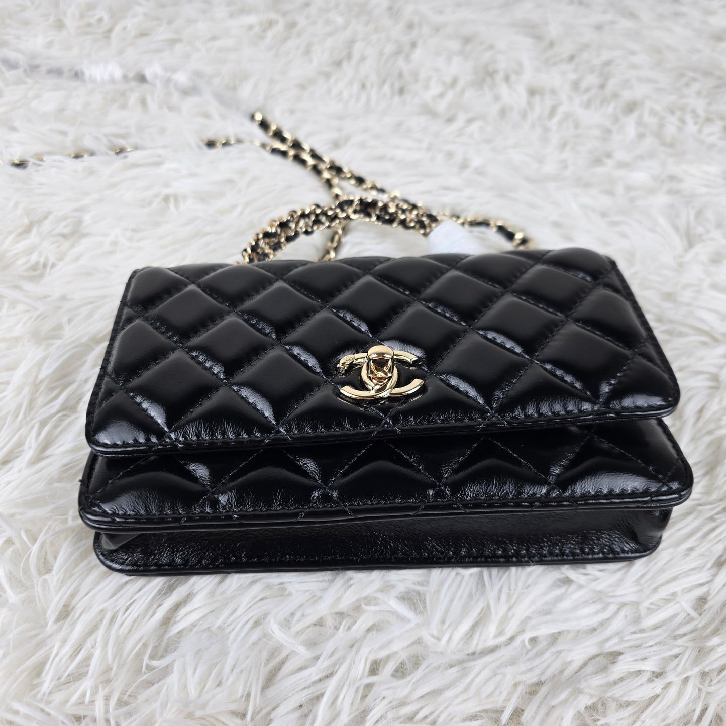 Chic & Stylish Bags