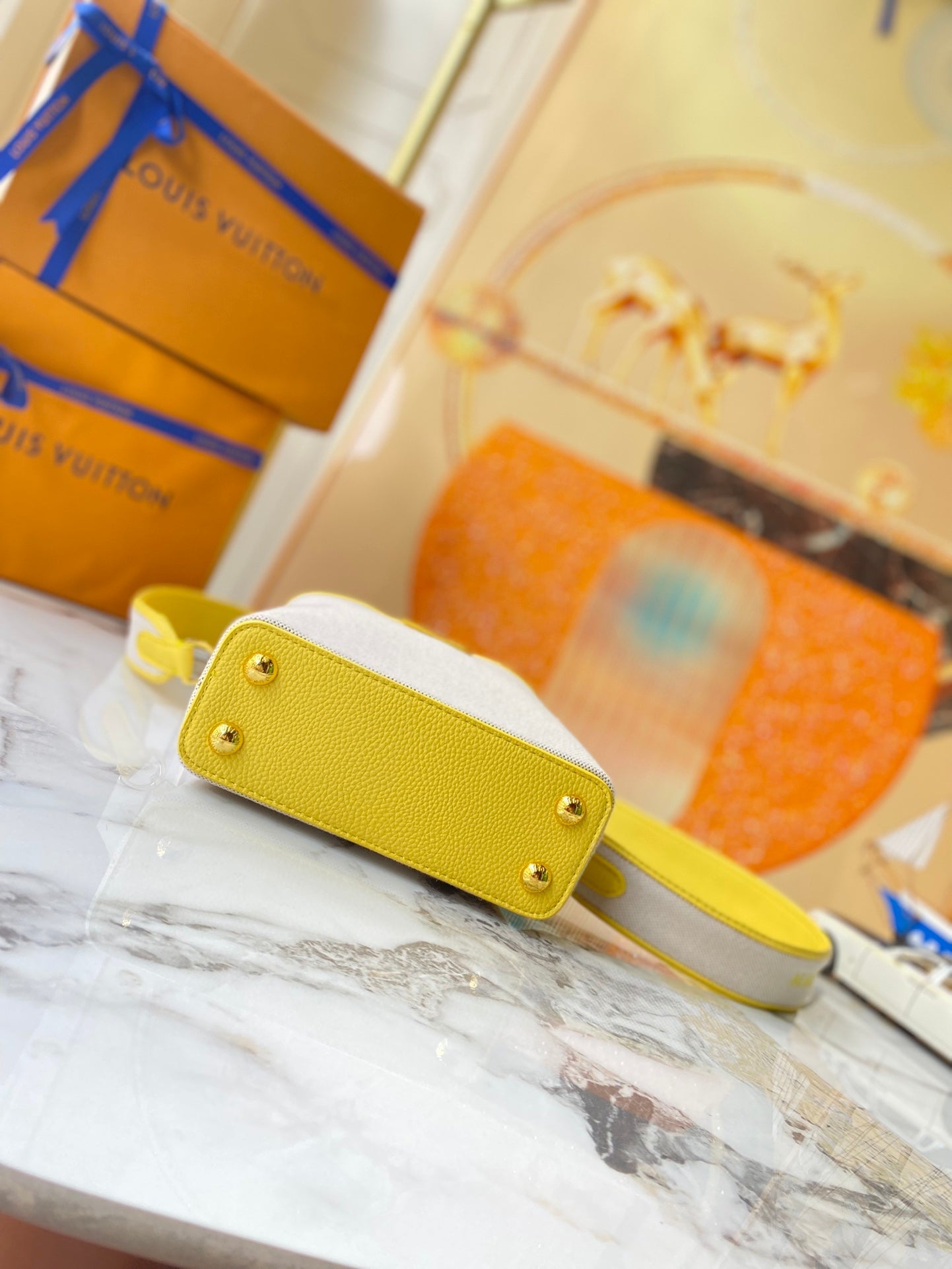 Chic & Stylish Bags