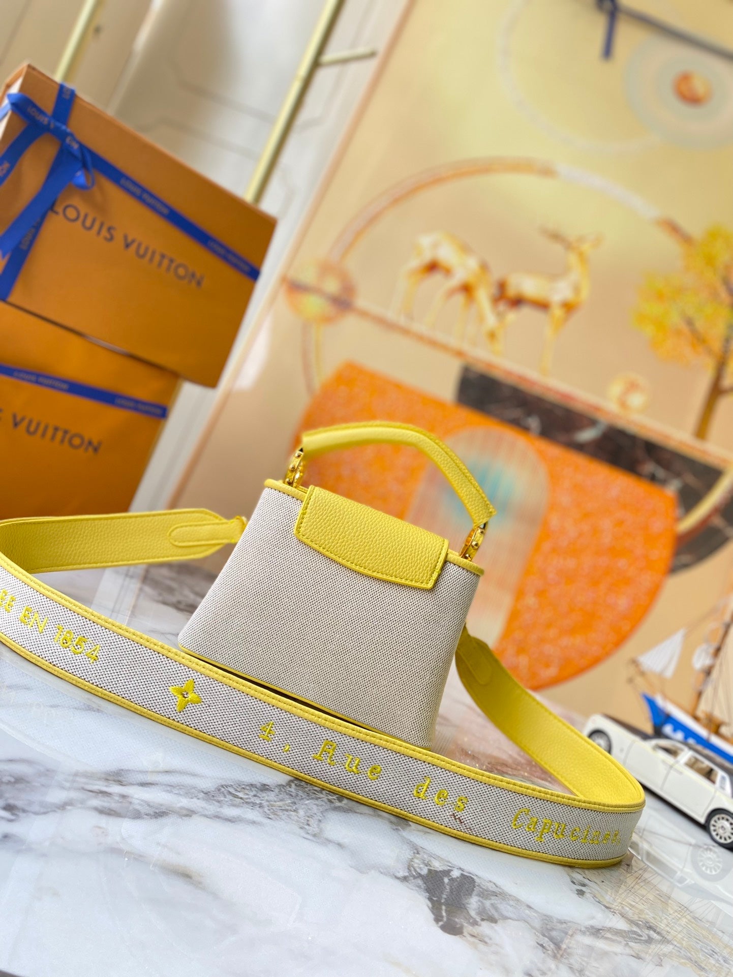 Chic & Stylish Bags