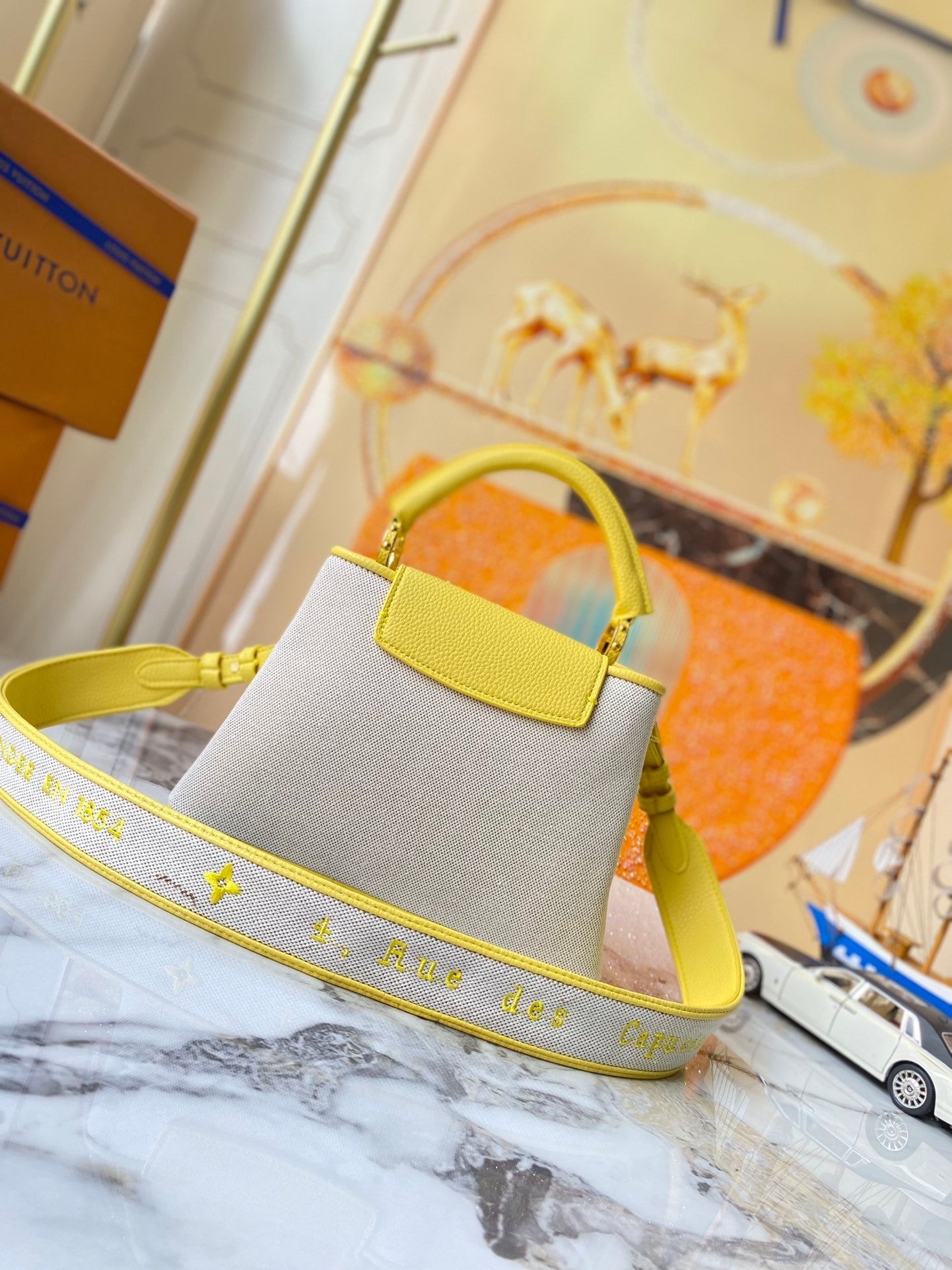 Chic & Stylish Bags