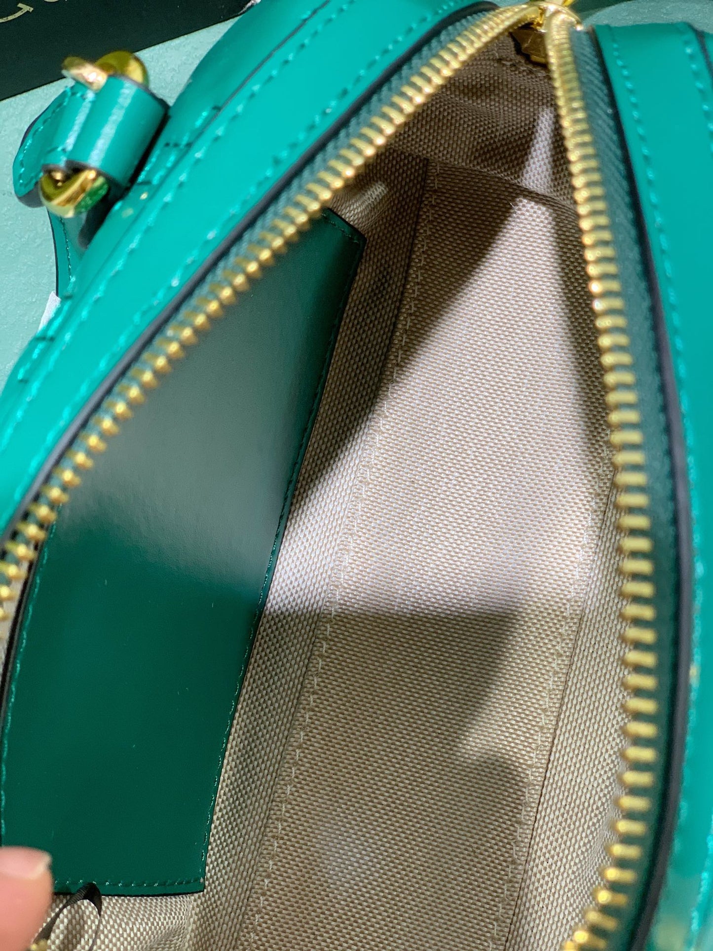 Chic & Stylish Bags