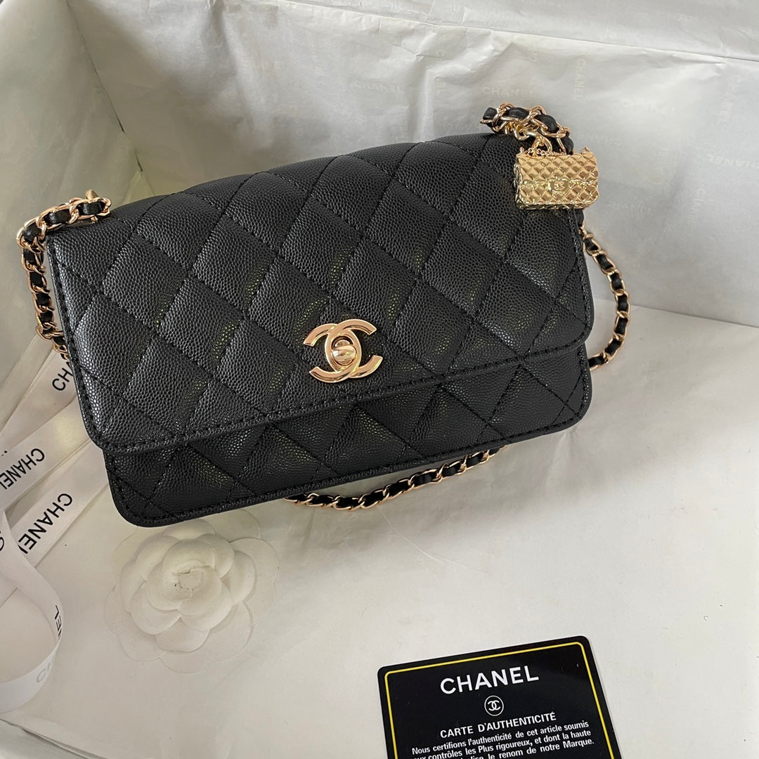 Chic & Stylish Bags