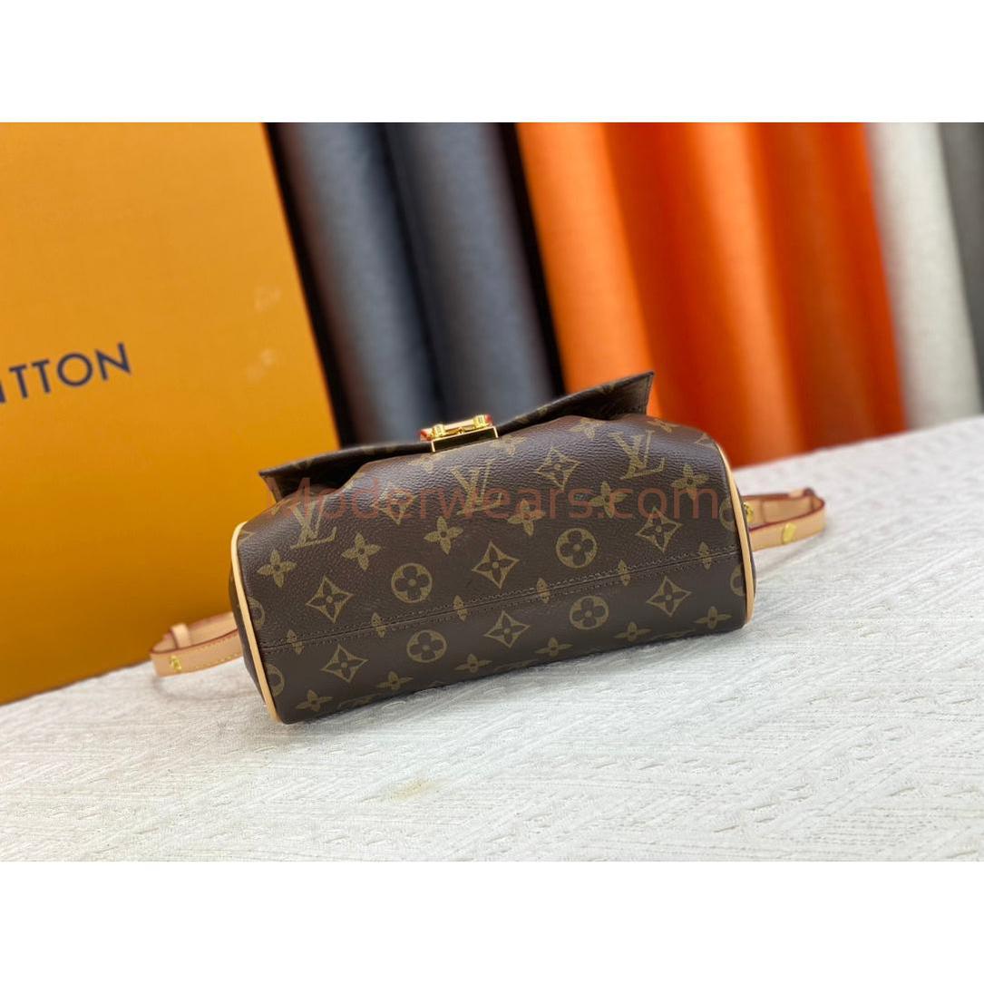 Chic & Stylish Bags