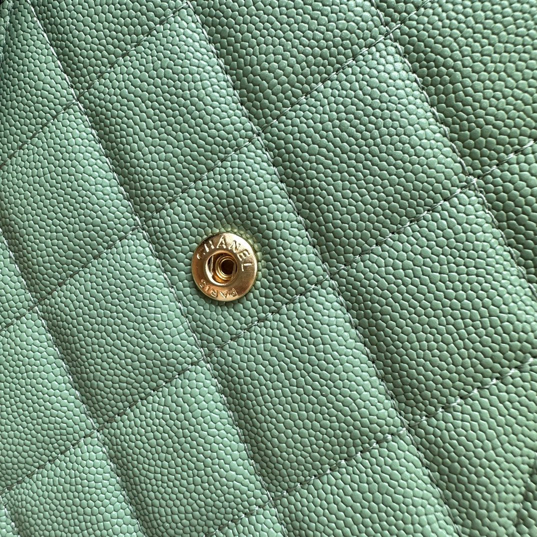 Chic & Stylish Bags