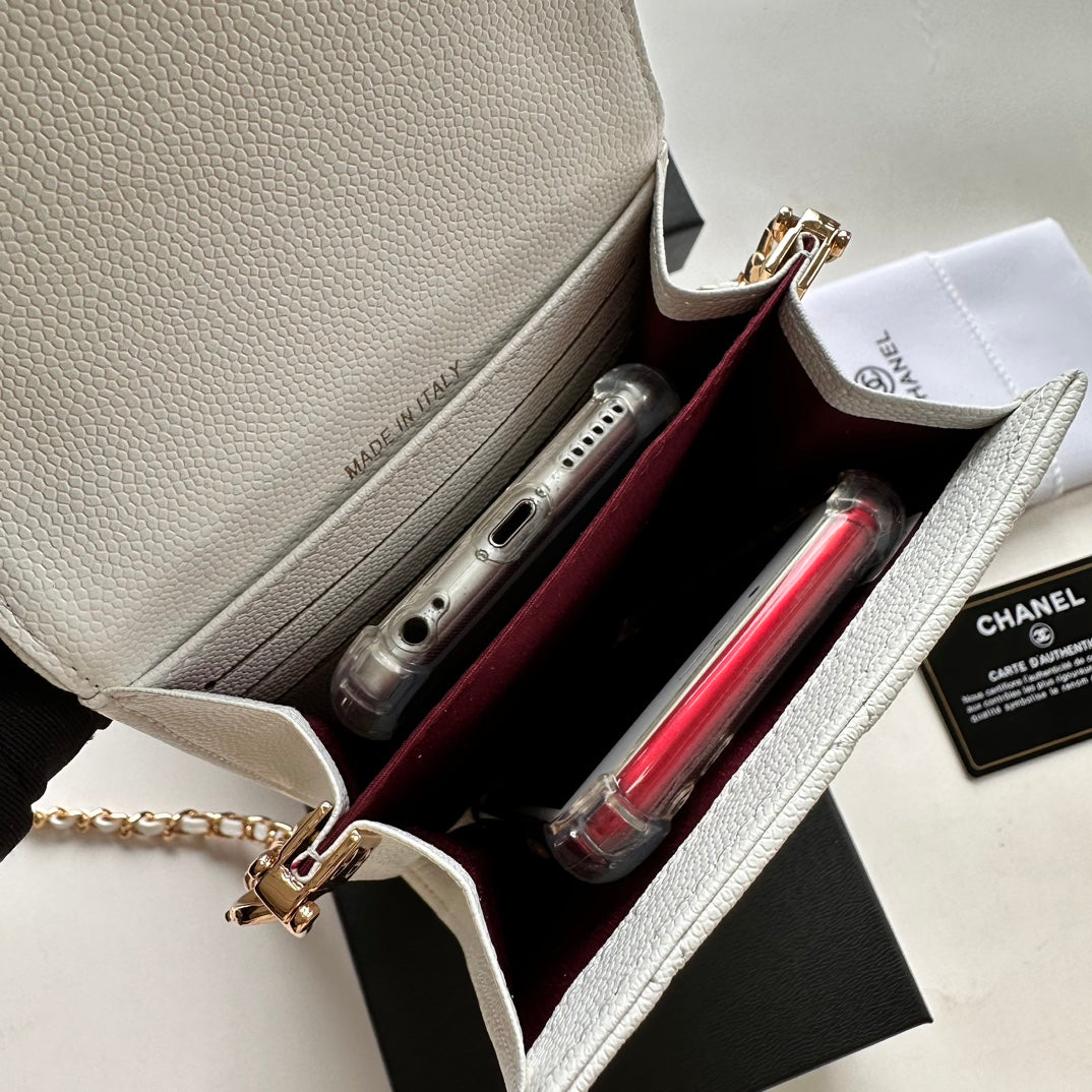 Chic & Stylish Bags