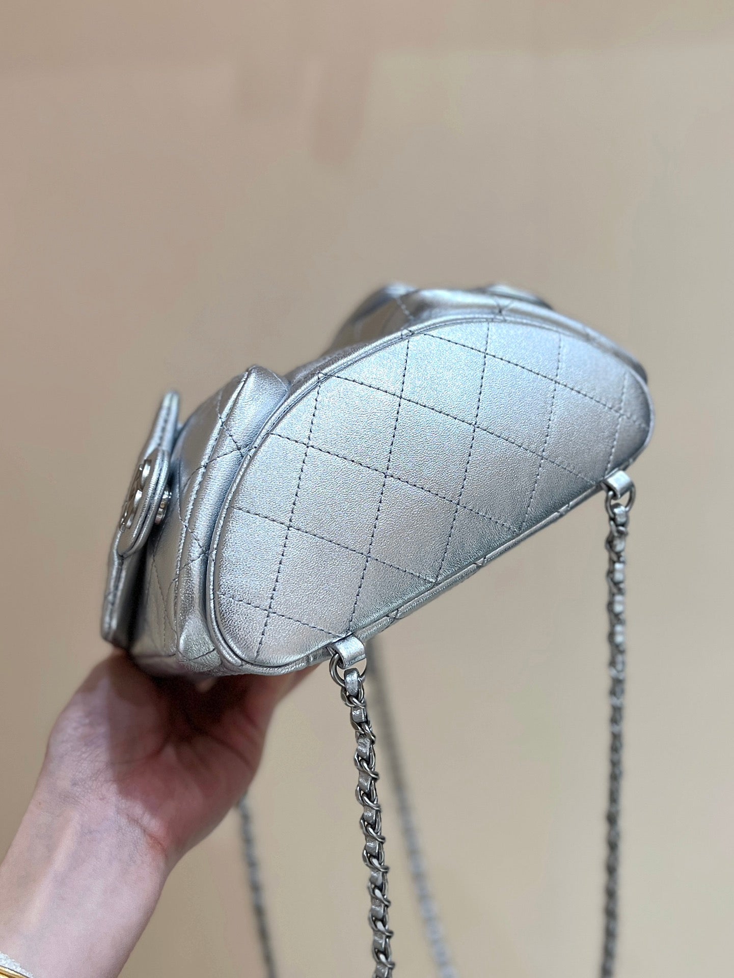 Chic & Stylish Bags