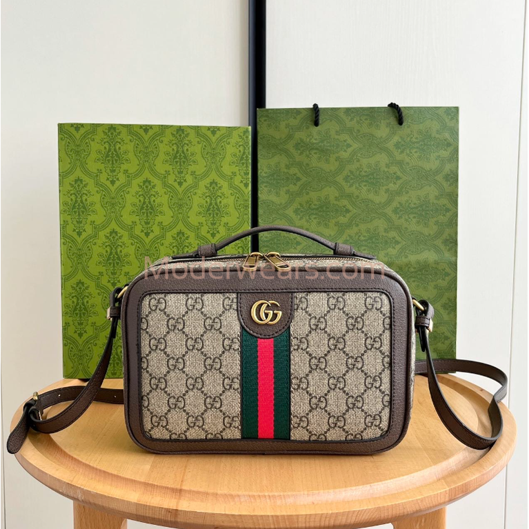 Chic & Stylish Bags