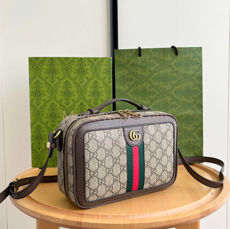 Chic & Stylish Bags
