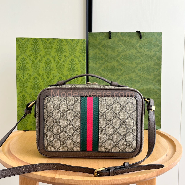 Chic & Stylish Bags