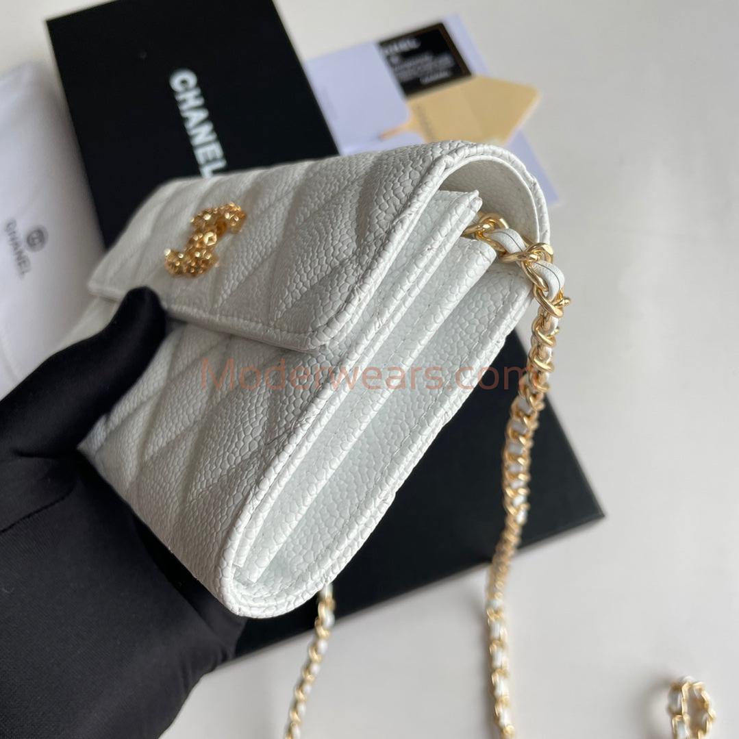 Chic & Stylish Bags
