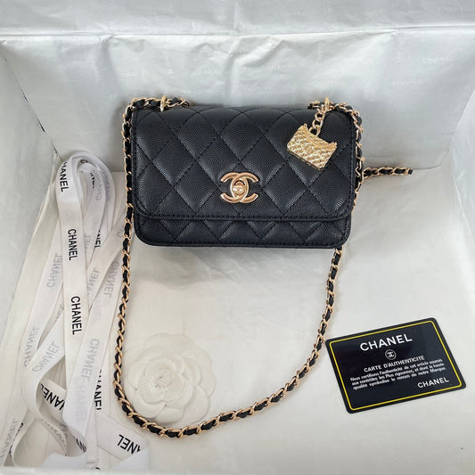 Chic & Stylish Bags
