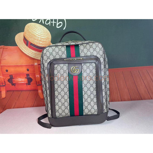 Chic & Stylish Bags