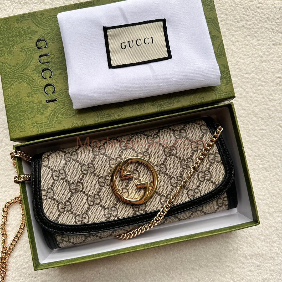 Chic & Stylish Bags