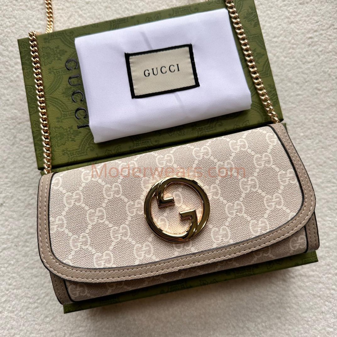 Chic & Stylish Bags