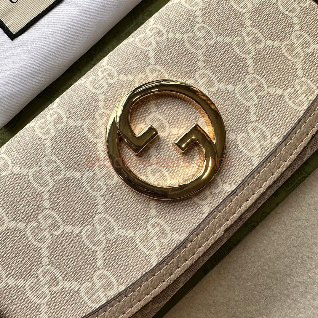 Chic & Stylish Bags