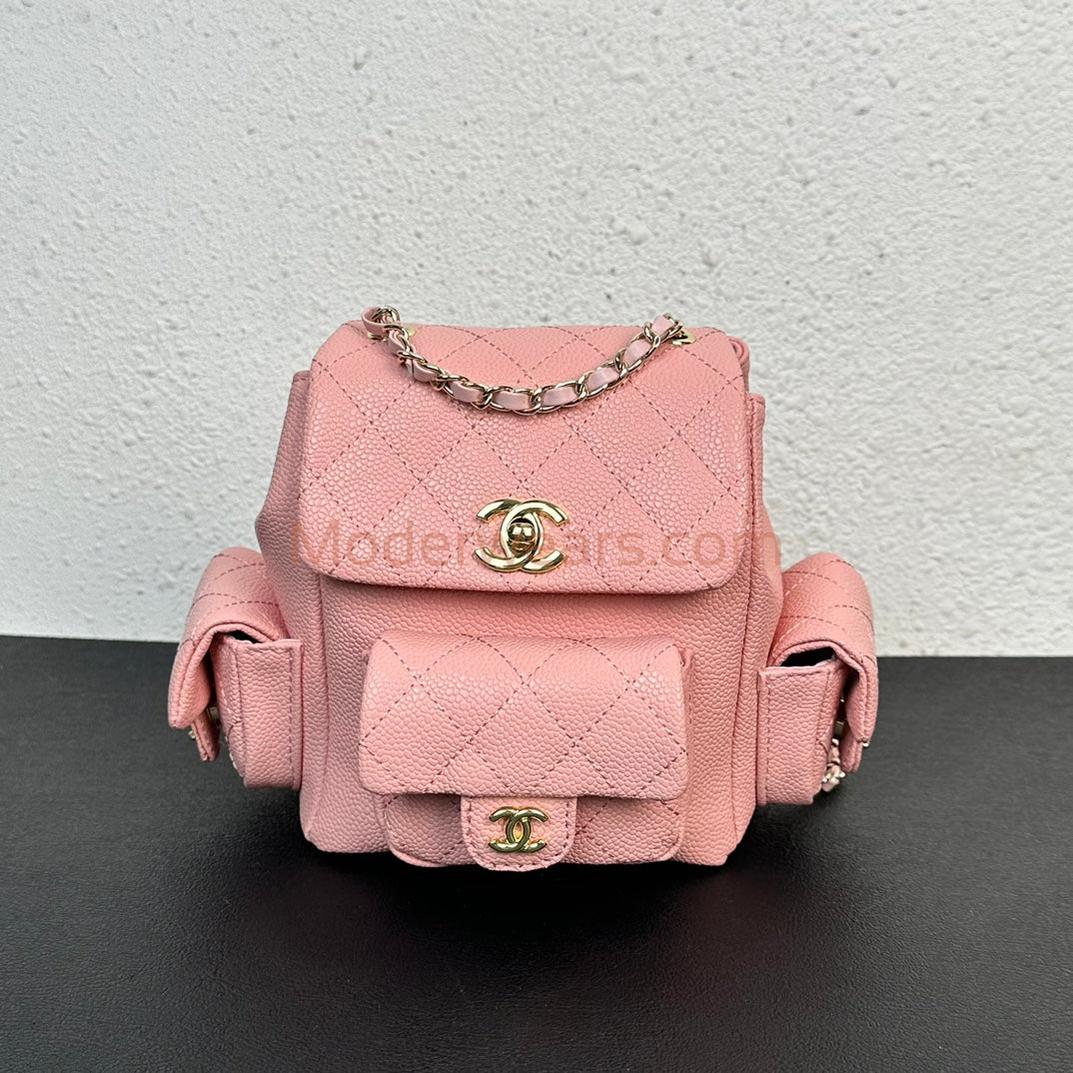 Chic & Stylish Bags