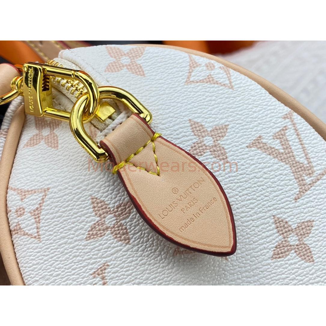 Chic & Stylish Bags