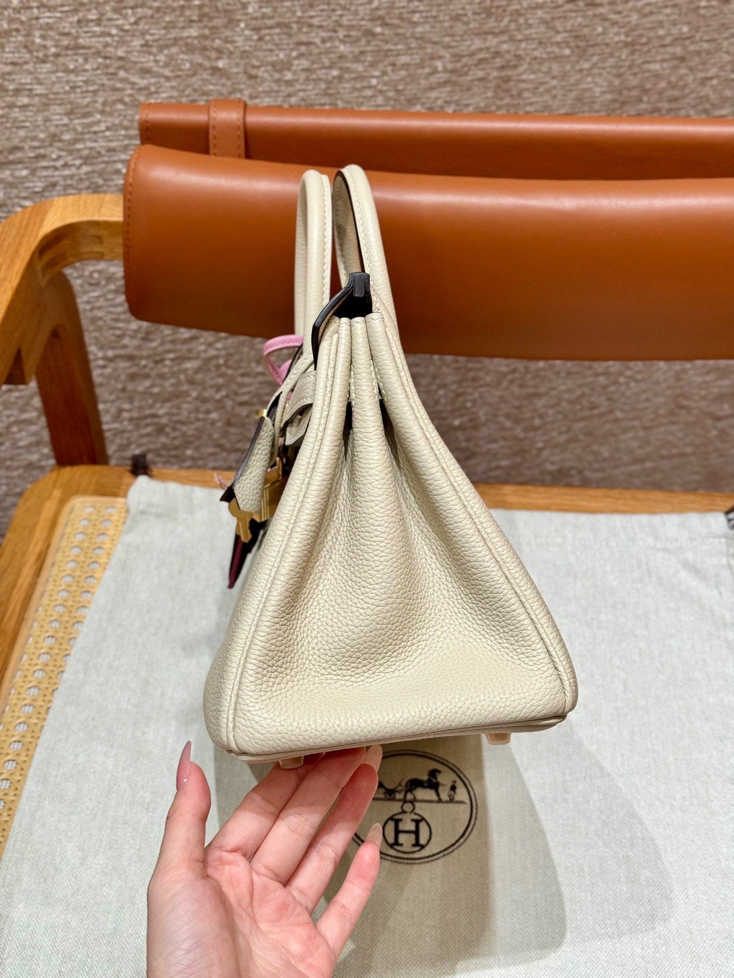 Chic & Stylish Bags