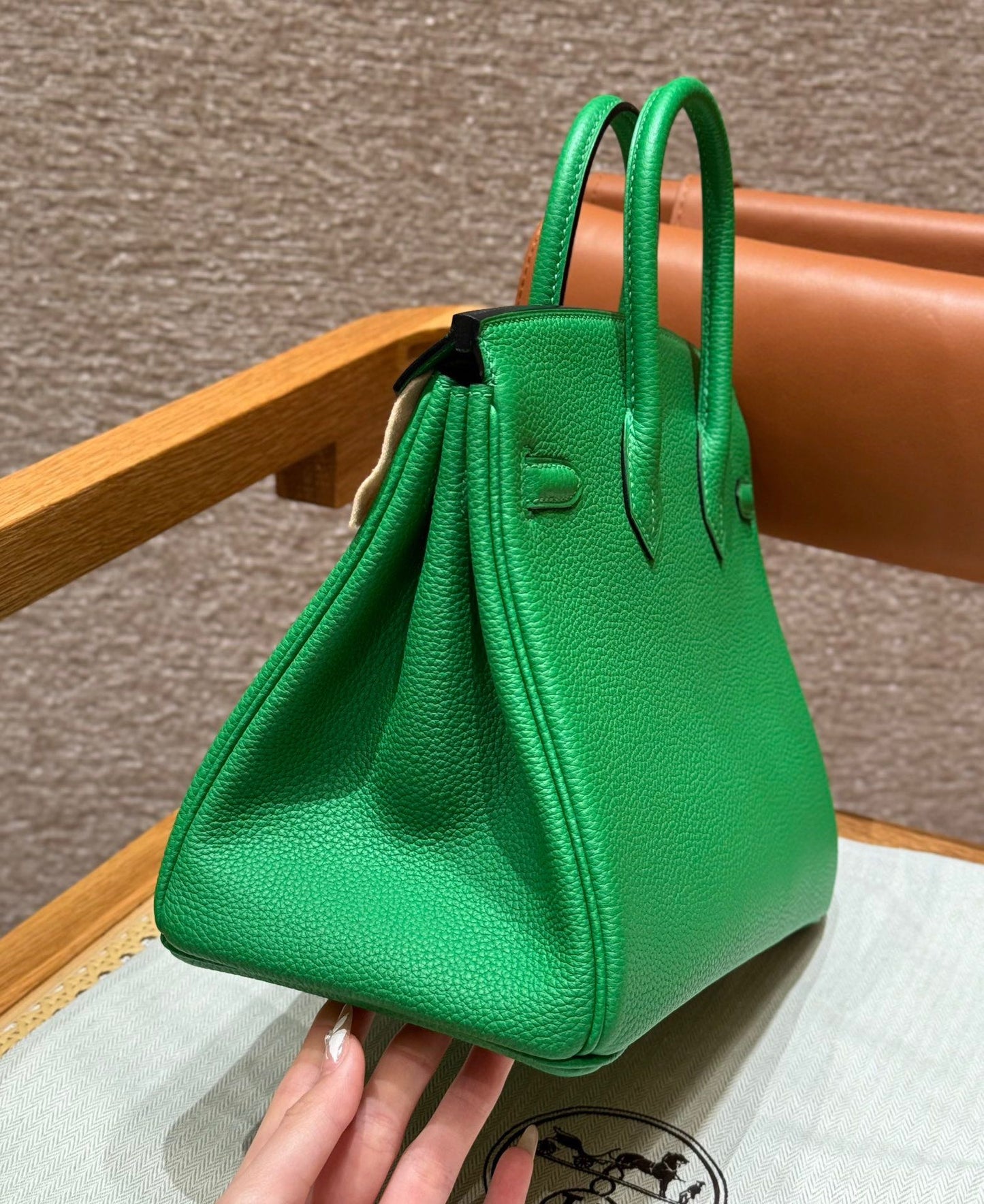 Chic & Stylish Bags
