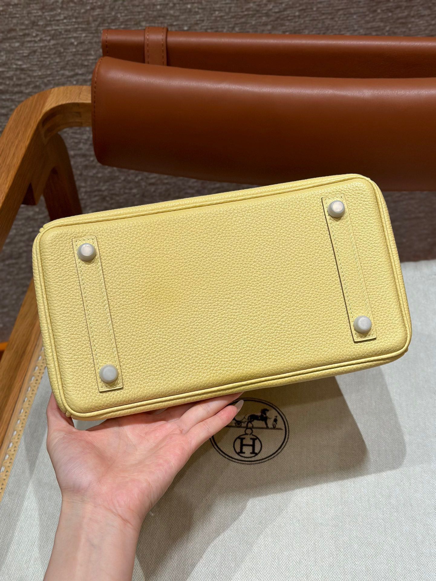 Chic & Stylish Bags
