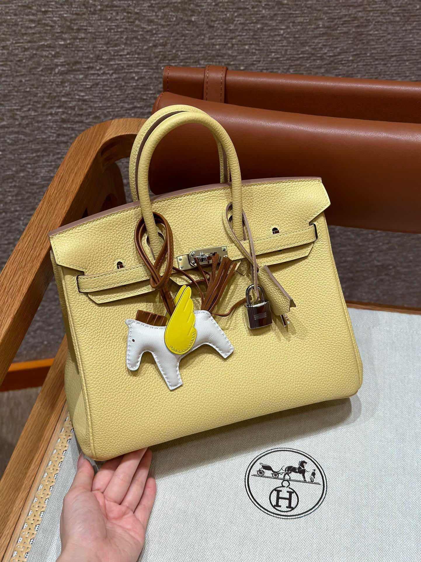 Chic & Stylish Bags