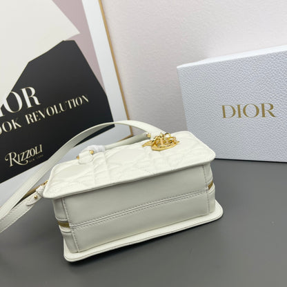 Chic & Stylish Bags