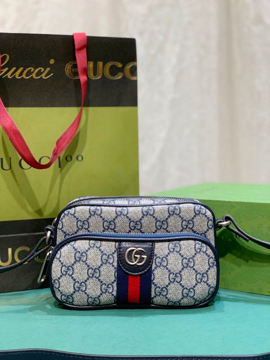 Chic & Stylish Bags
